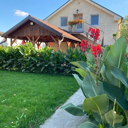 Omis Rooms Pančevo Dış mekan fotoğraf