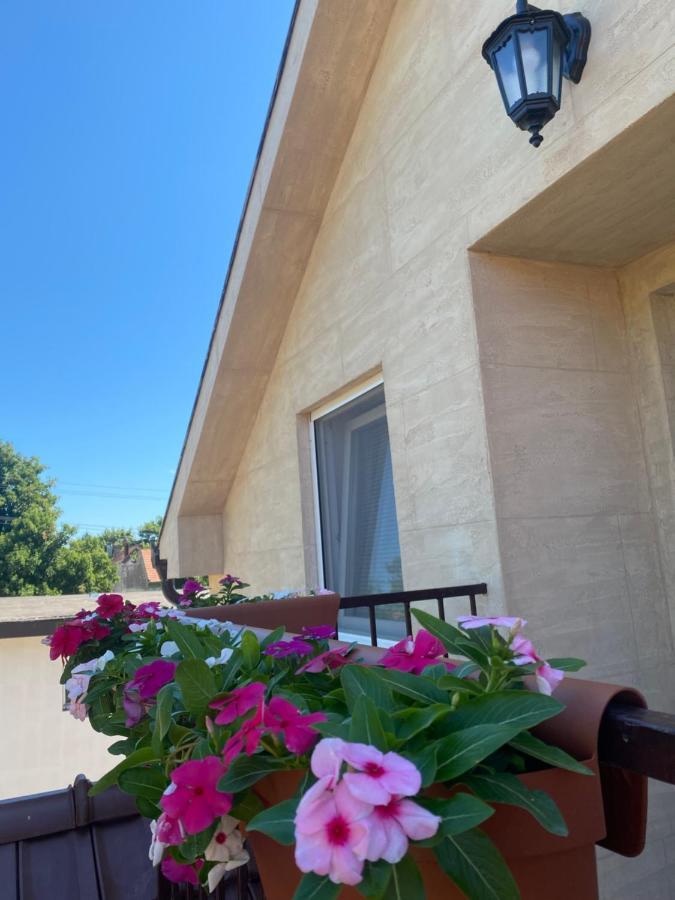 Omis Rooms Pančevo Dış mekan fotoğraf
