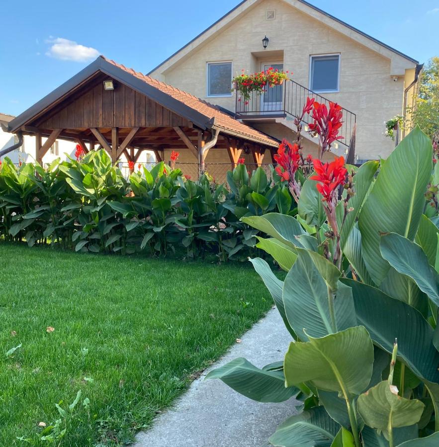 Omis Rooms Pančevo Dış mekan fotoğraf